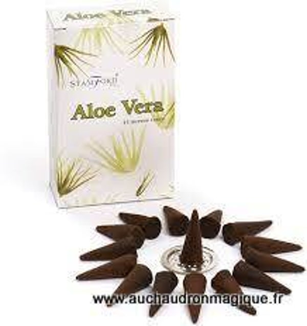 Cône Aloé Vera