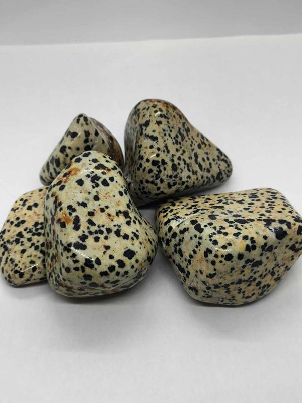 Dalmatien 45-50 mm