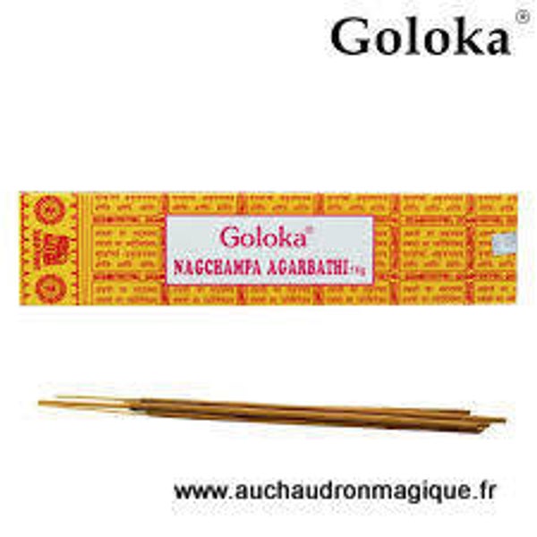 Goloka Nagchampa - Inde-