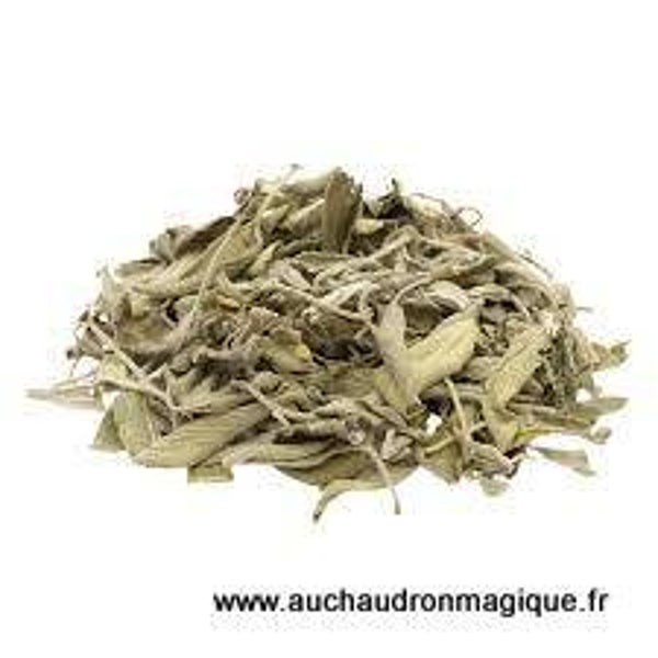 Sauge Salvia Apiana