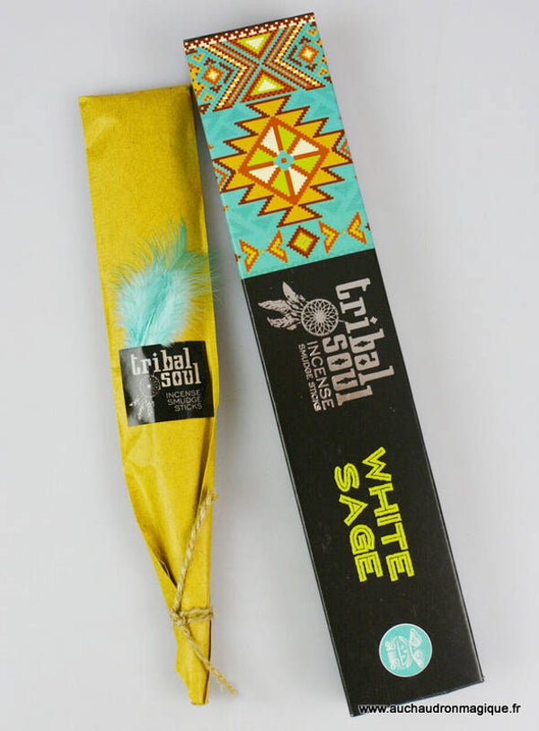 Tribal Sauge- Indien-