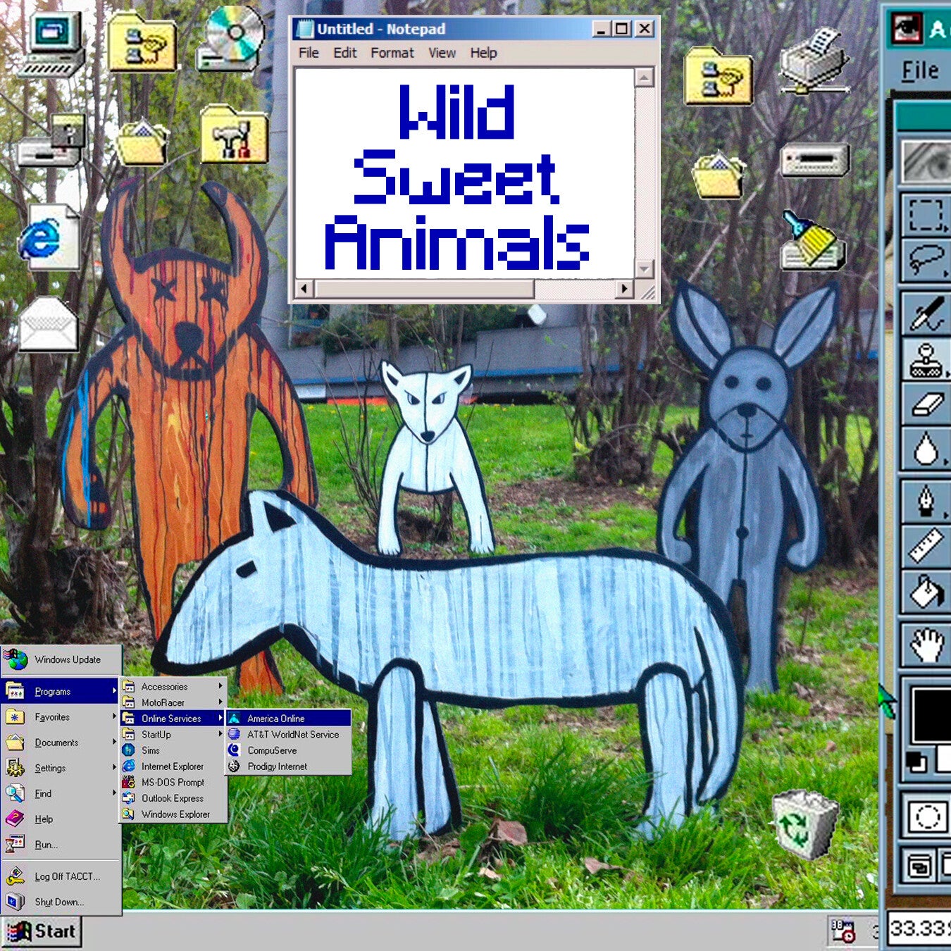 wild sweer animals