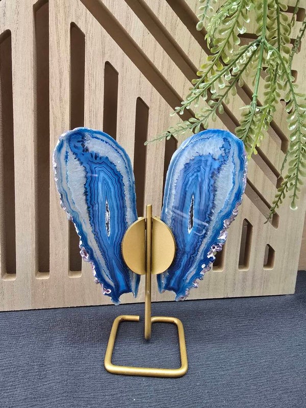 Blauwe agaat vlinder