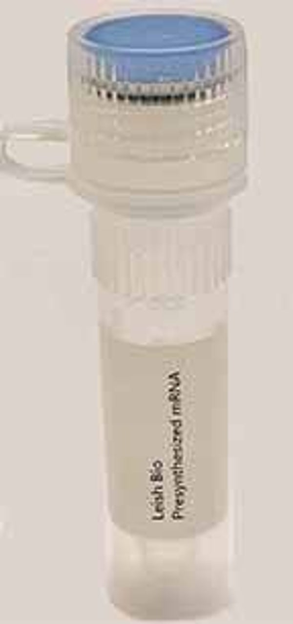 Cre recombinase mRNA