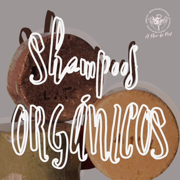 Shampoo Sólido