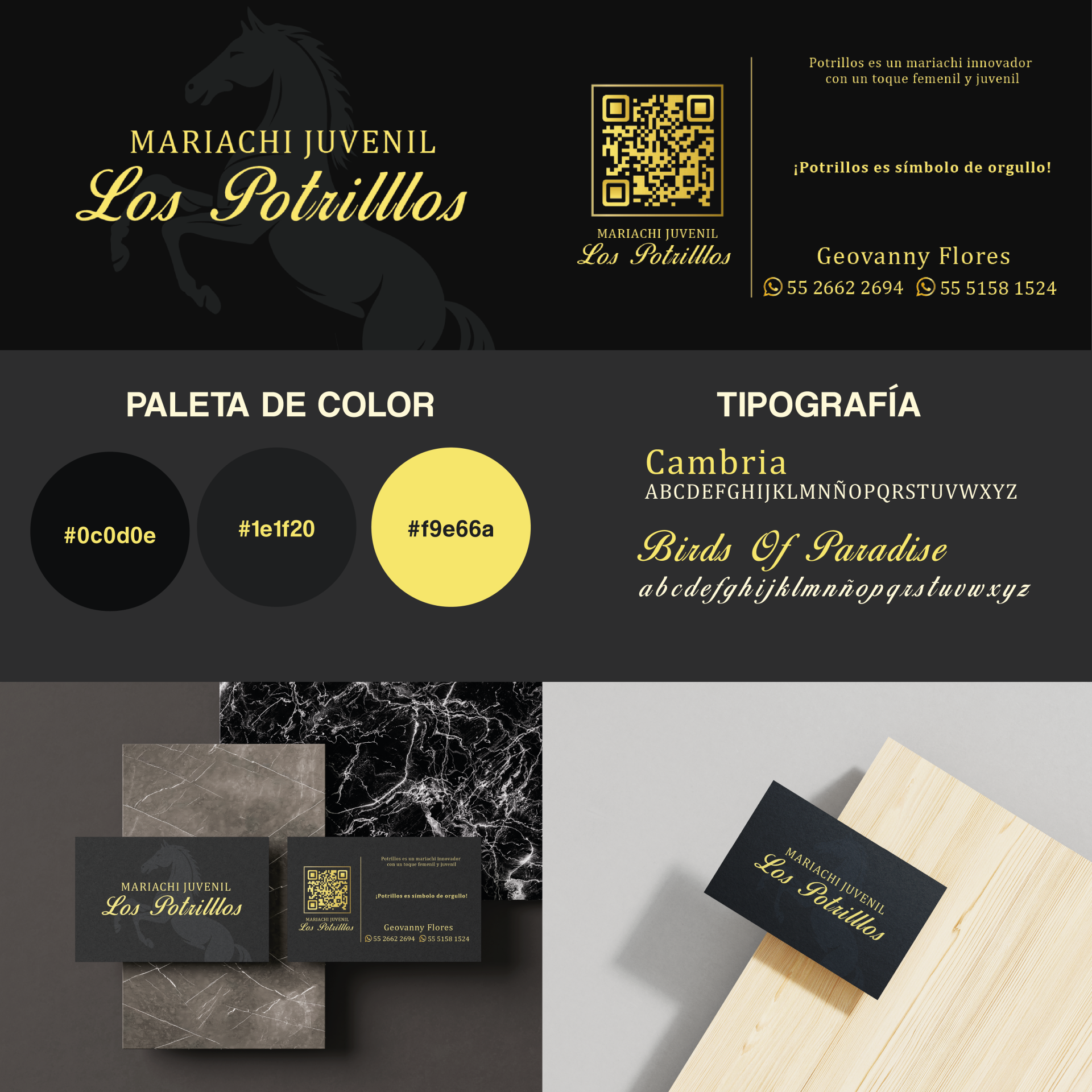 Identidad Visual