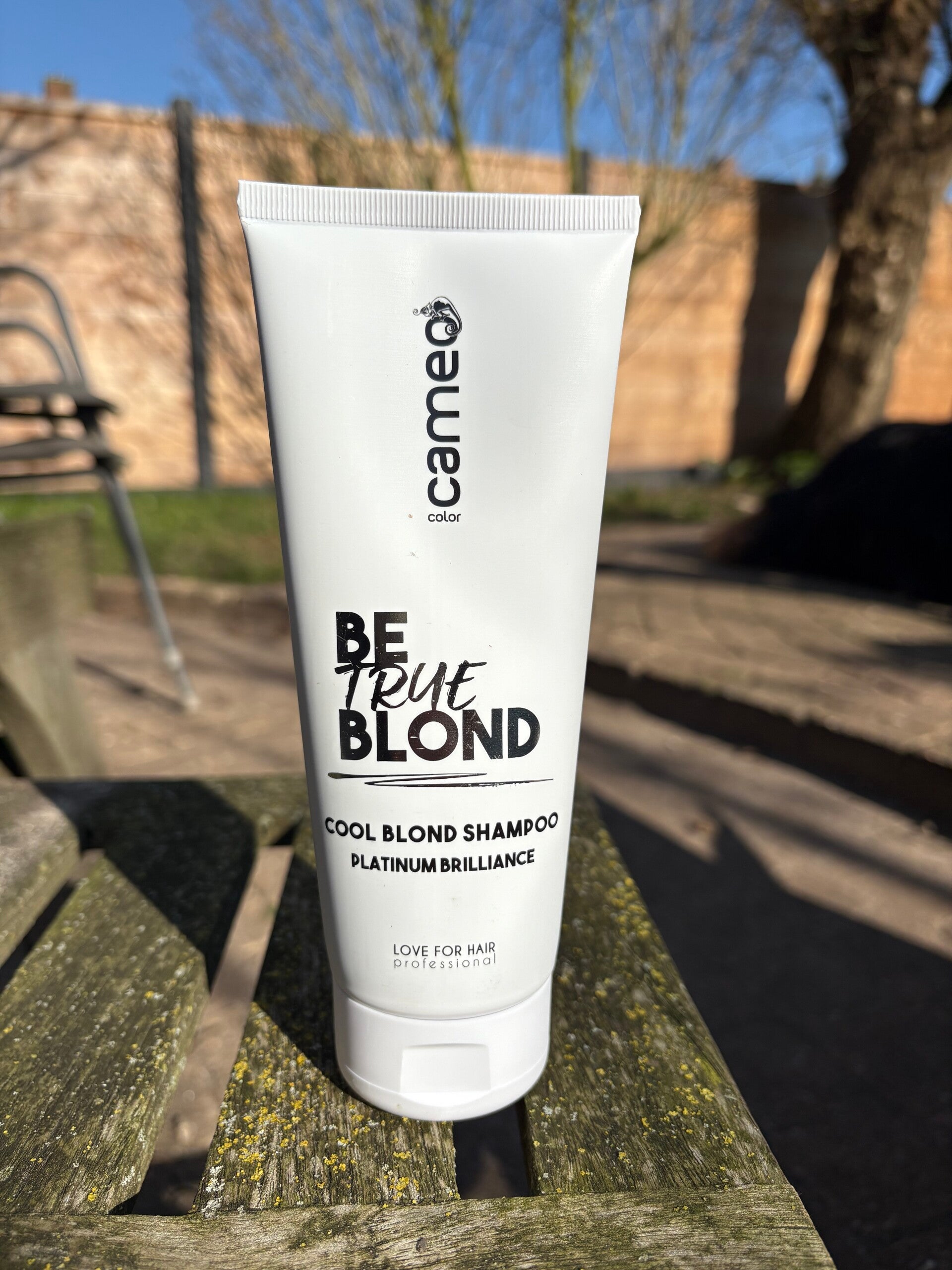 Cameo Cool Blond shampoo | Platinum Brilliance
