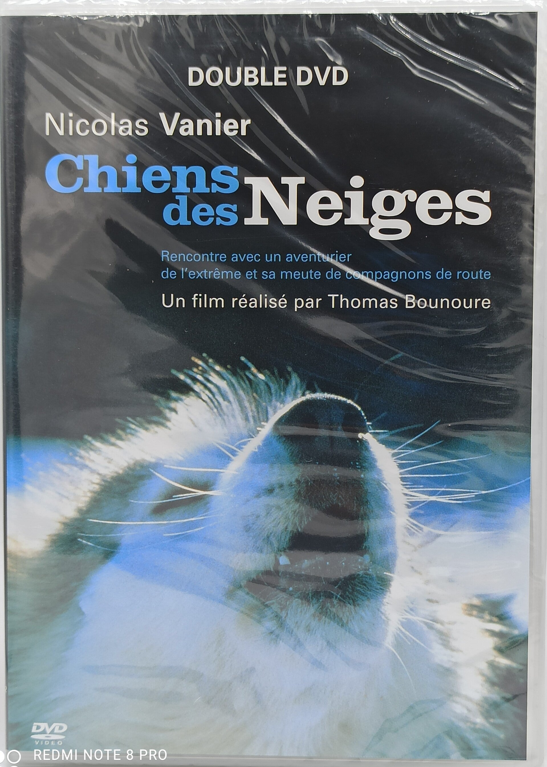 CHIENS DES NEIGES