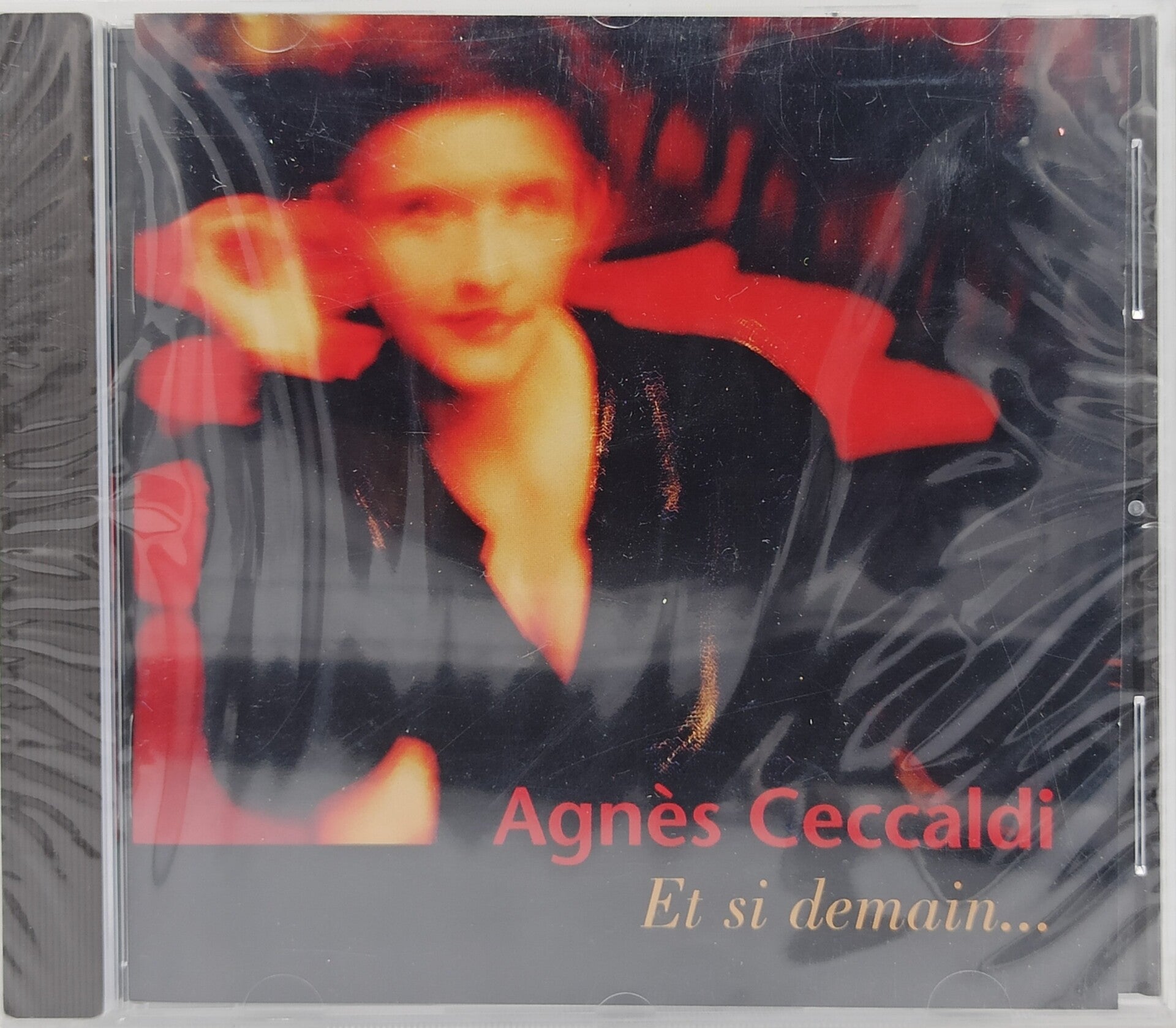 AGNES CECCALDI - Et si demain...