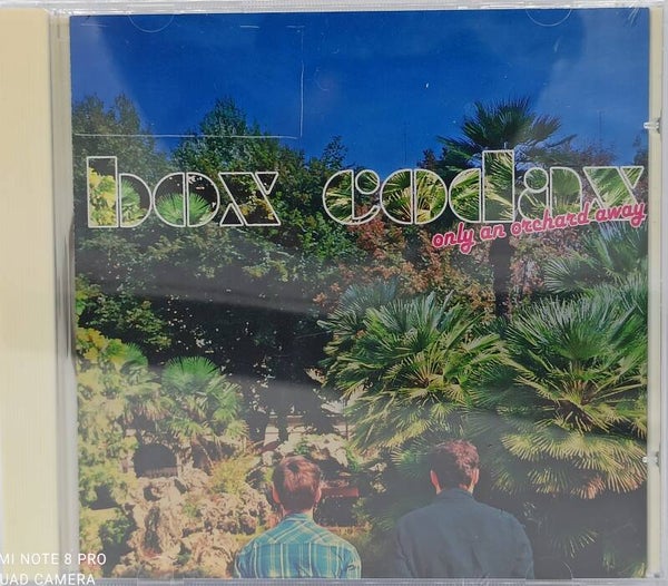 BOX CODAX - Only an orchard away