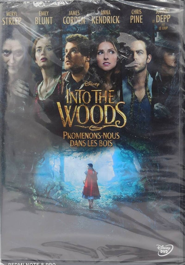 INTO THE WOODS - PROMENONS NOUS DANS LES BOIS