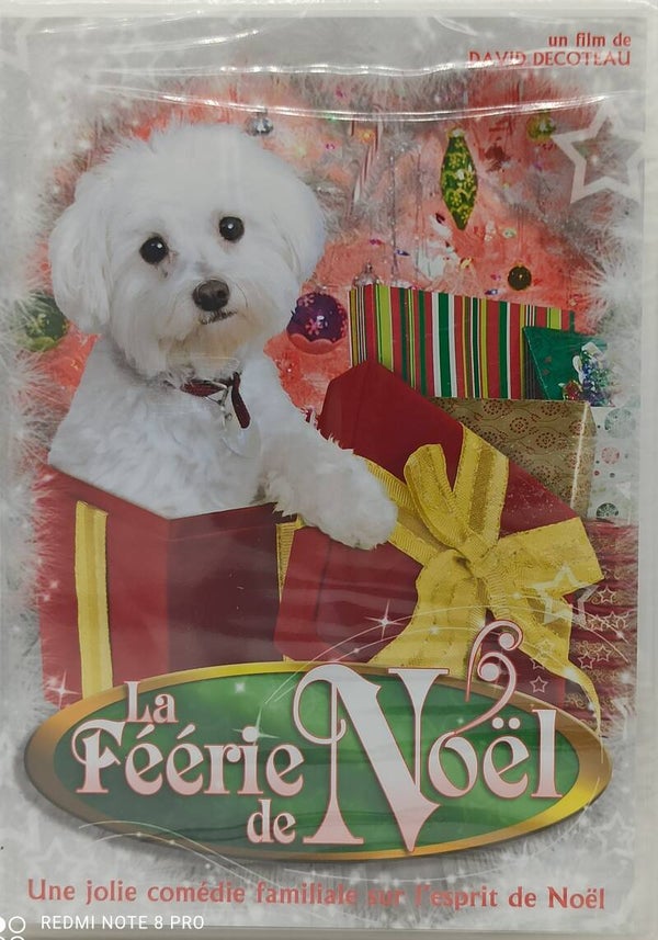 LA FEERIE DE NOEL