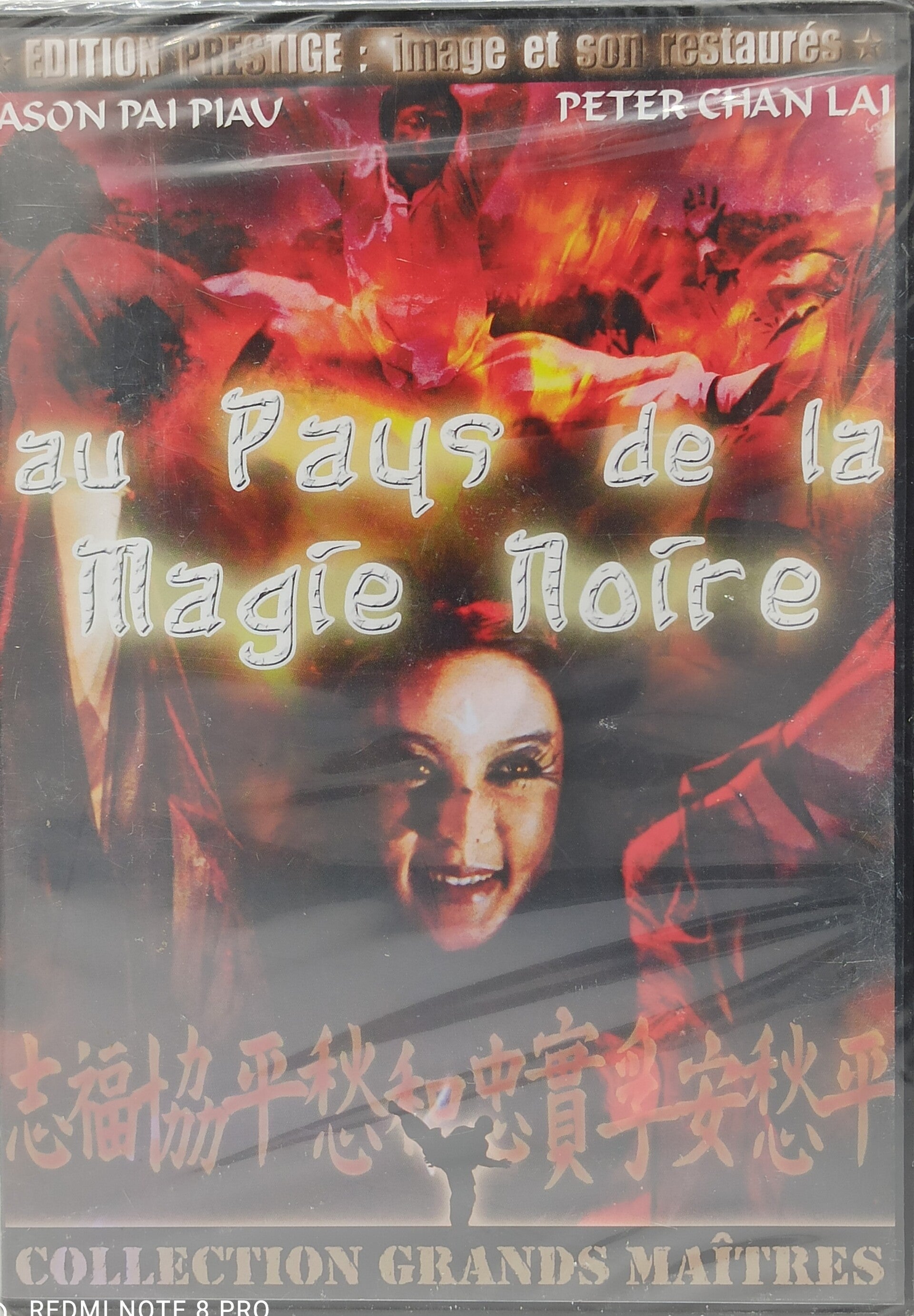 AU PAYS DE LA MAGIE NOIRE