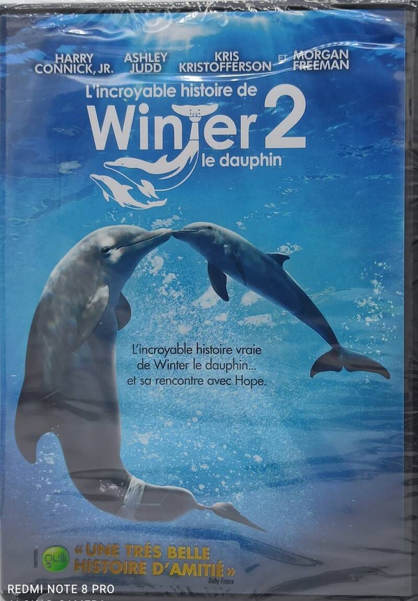 L' INCROYABLE HISTOIRE DE WINTER LE DAUPHIN 2