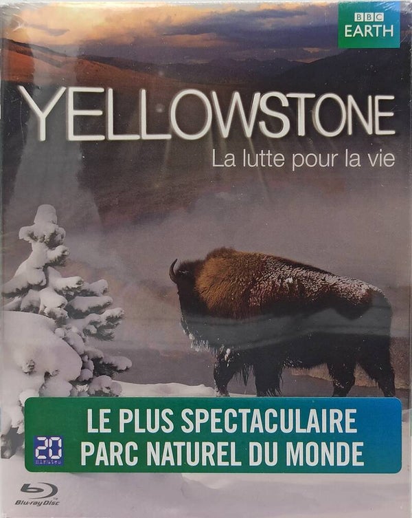 YELLOSWTONE LA LUTTE POUR LA VIE