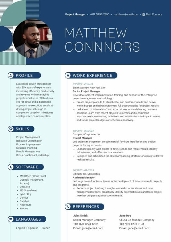PROFESSIONAL RESUME