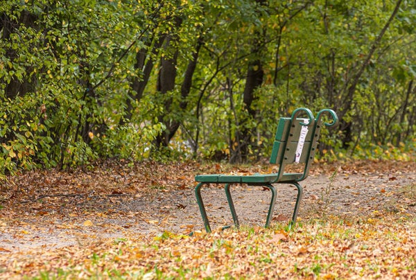 Solitude