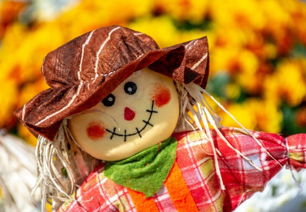 Fall Scarecrow