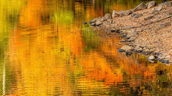 Fall Reflection