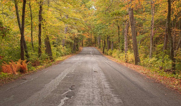 Autumn Road