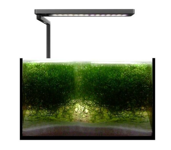 MicMol SOLO REFUGIUM (wierenfilter)