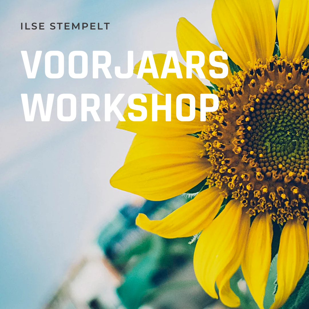 Voorjaars workshop : zaterdag 7 maart 2026 in OC Den Hulst