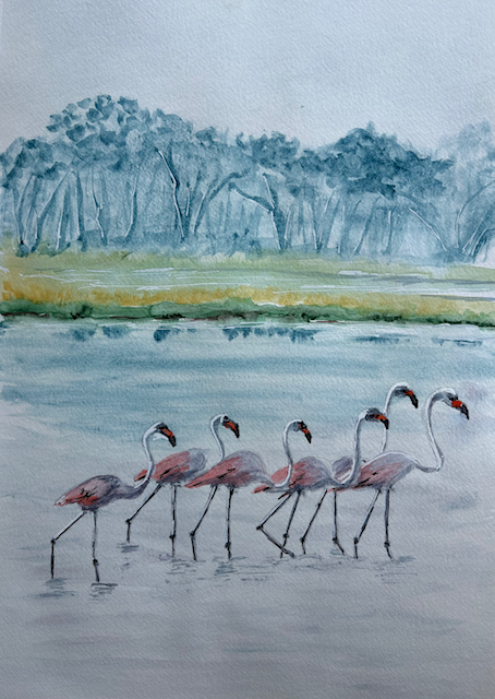 les flamands roses en rang