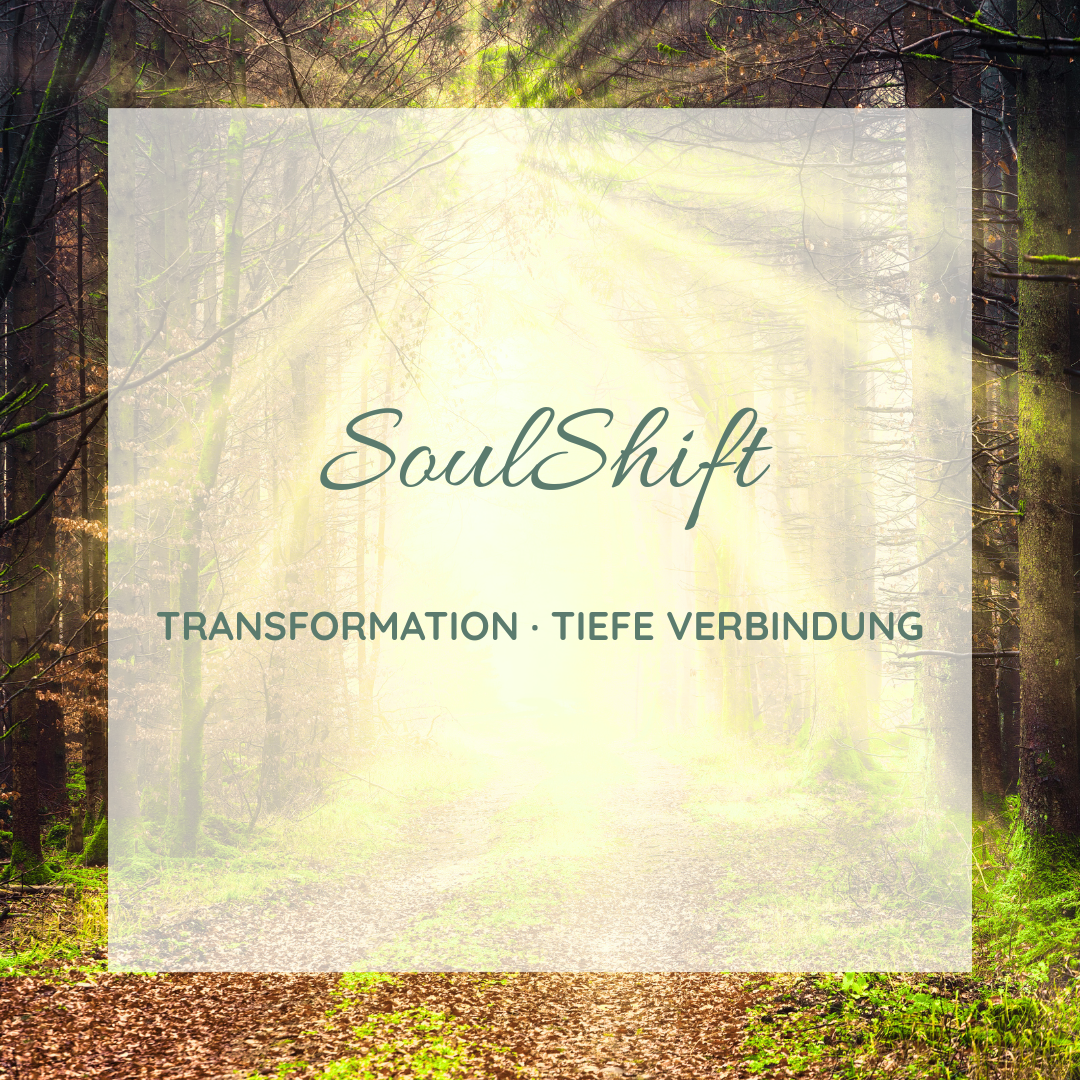 SoulShift - 3 Wochen Begleitung