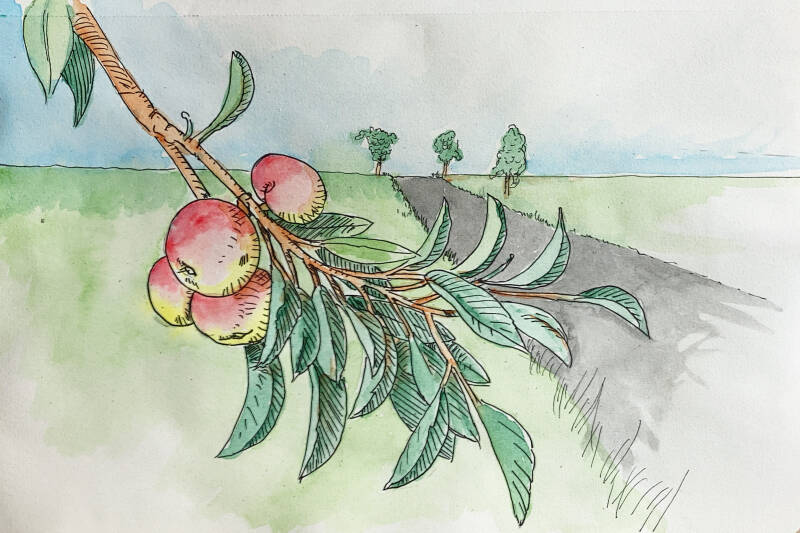 Tsjechië (Czech Republic)