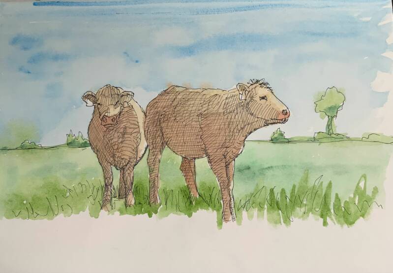 Tsjechië (Czech Republic)