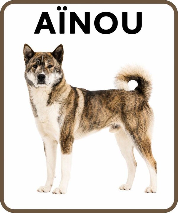 chien