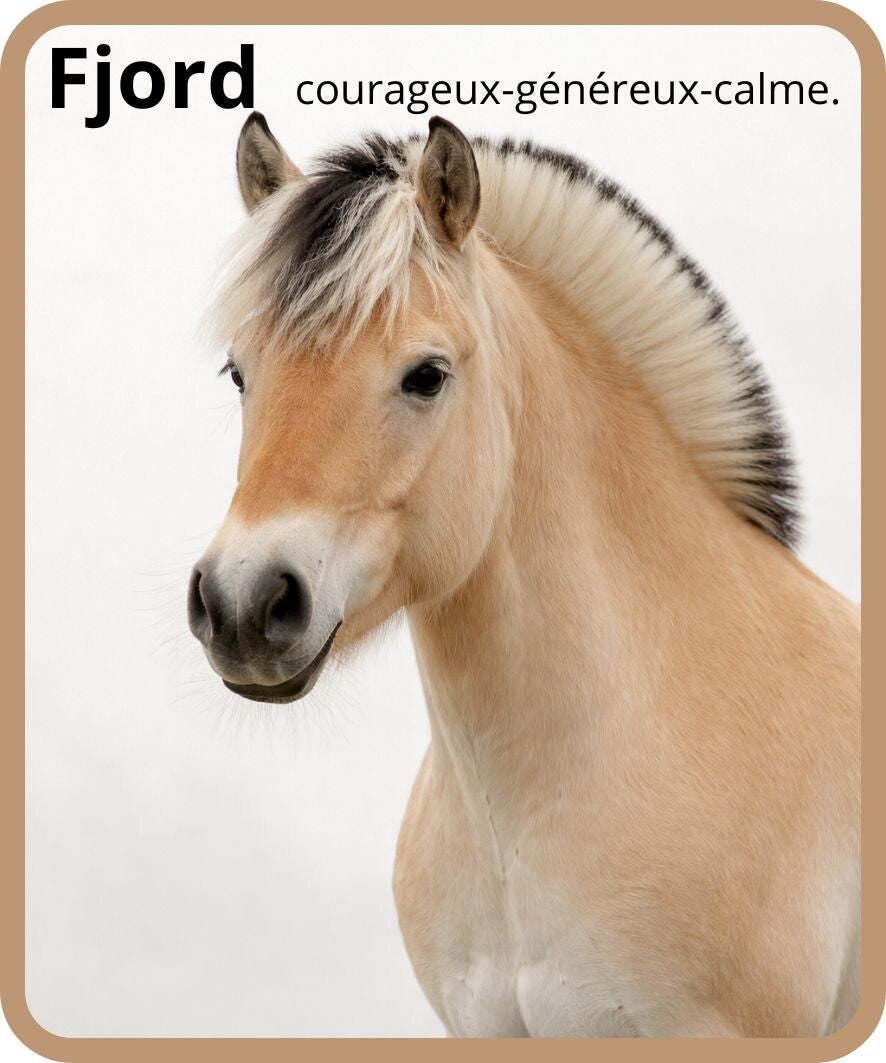 poney