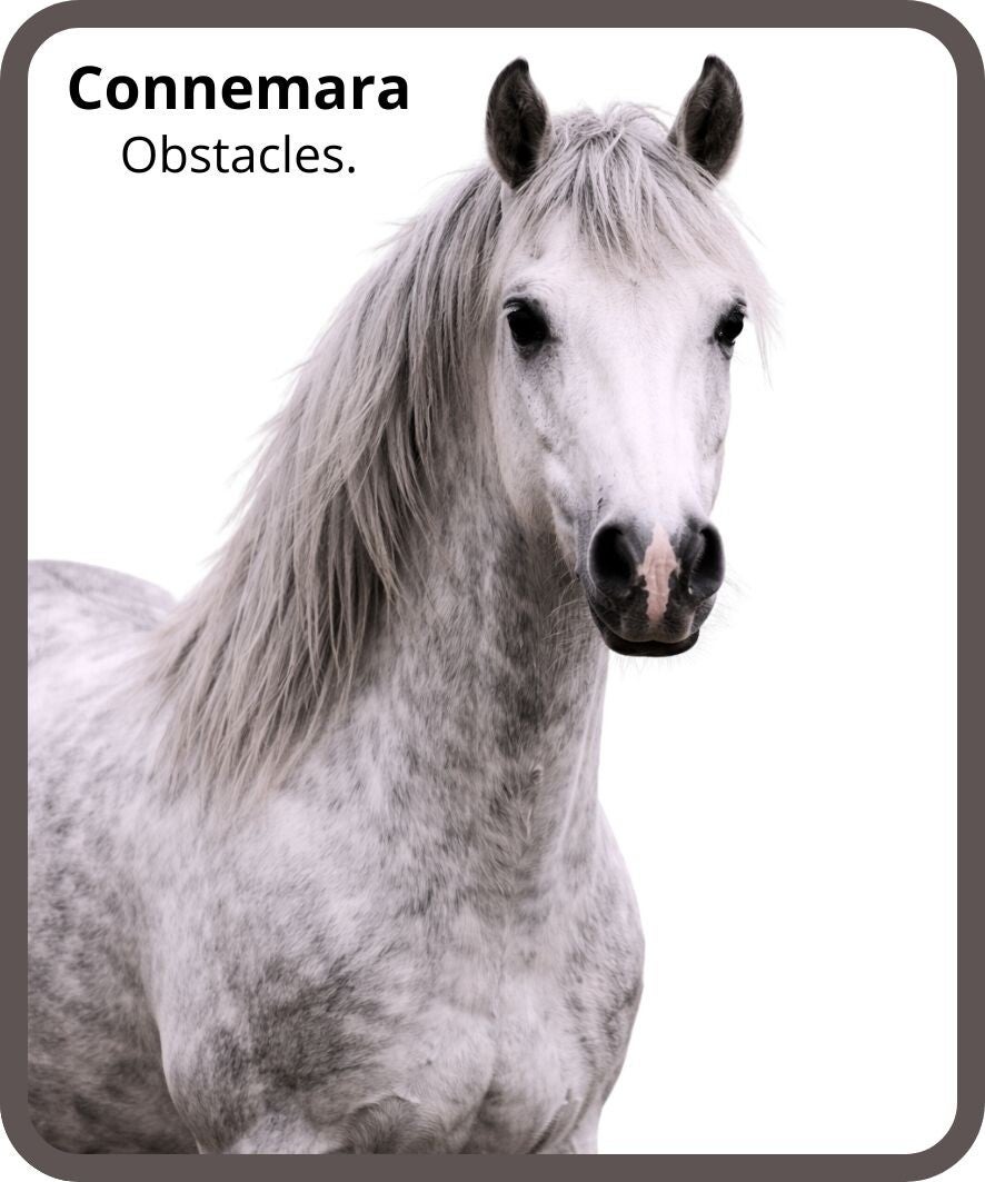 poney