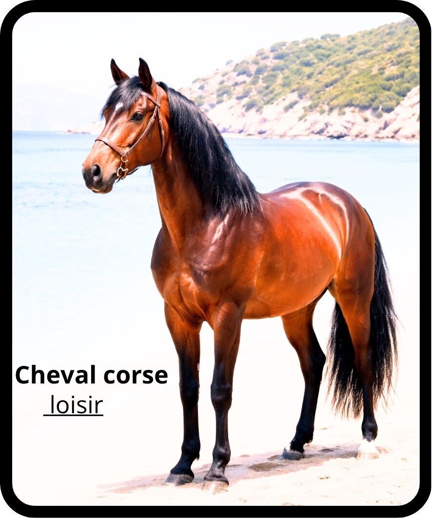 chevaux
