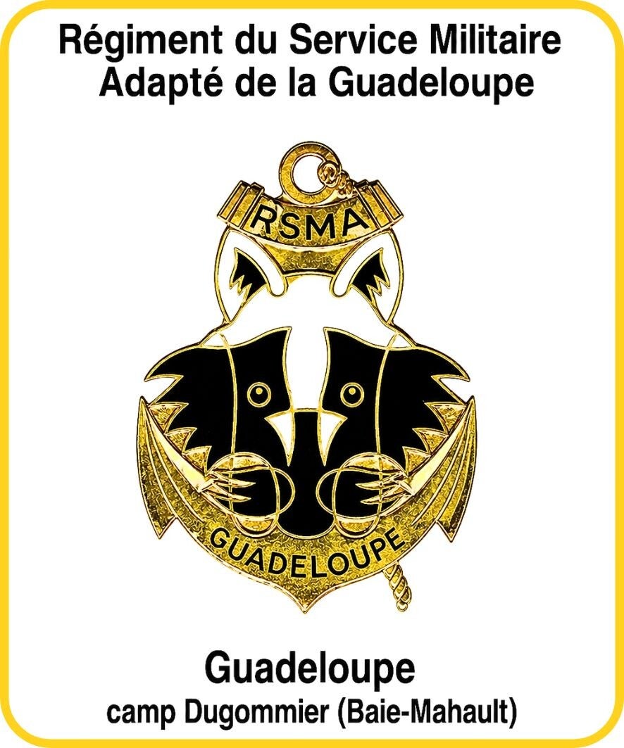 armée de terre