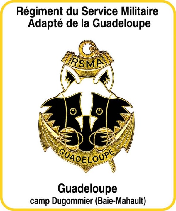 armée de terre