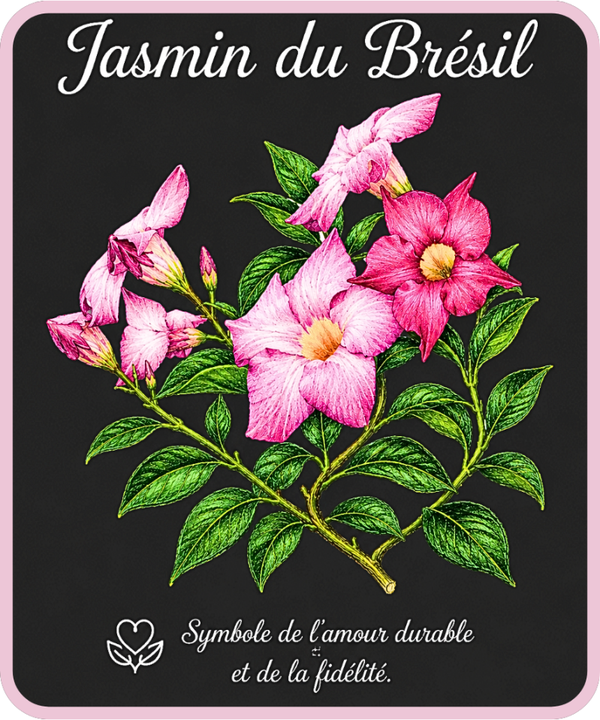 fleurs et symboles