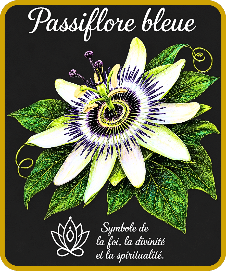 fleurs et symboles