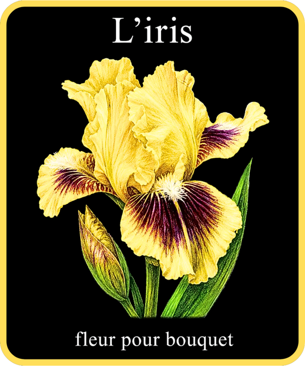 fleurs et symboles
