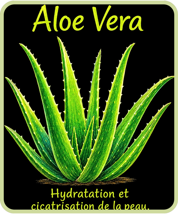 plantes médicinales