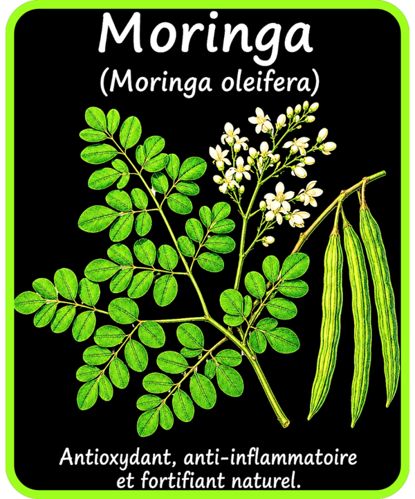 plantes médicinales