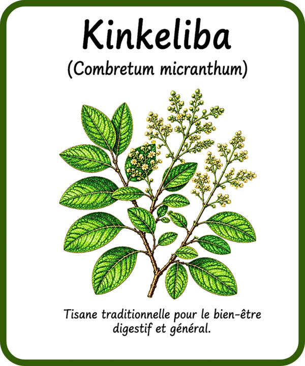 plantes médicinales