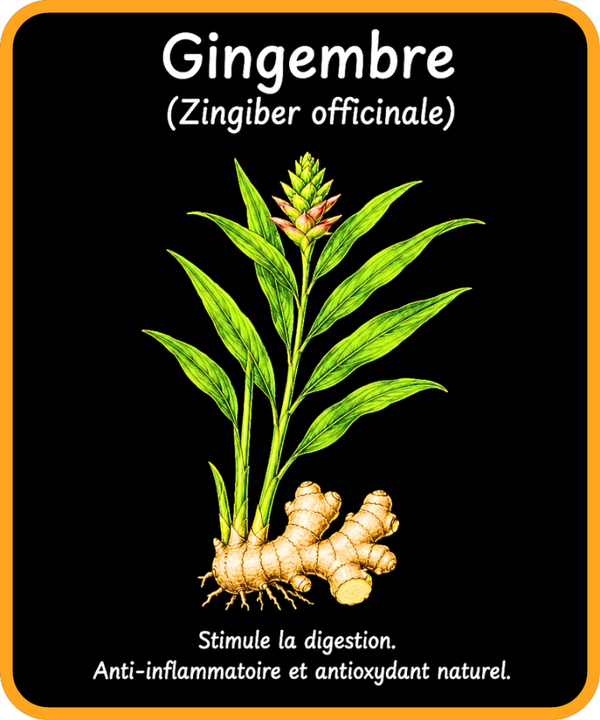 plantes médicinales