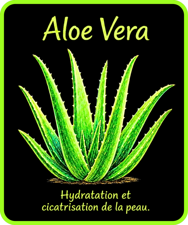 plantes médicinales