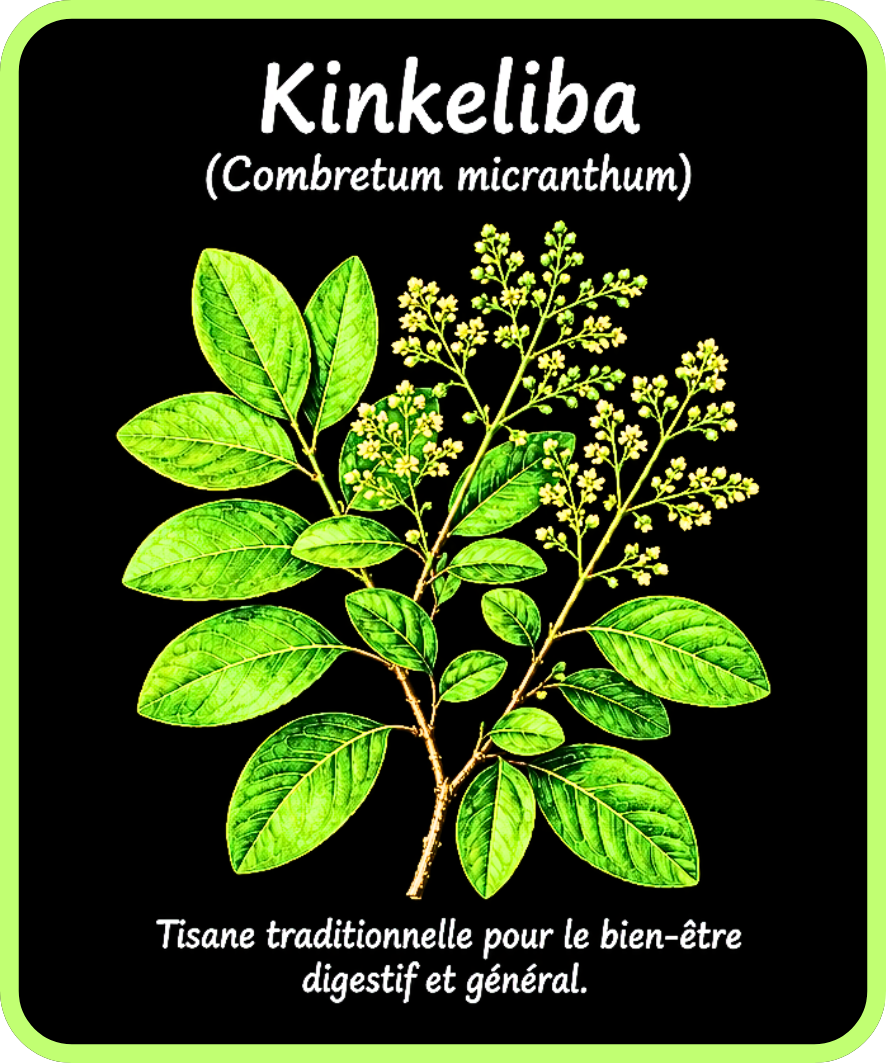 plantes médicinales
