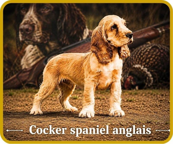 chiens