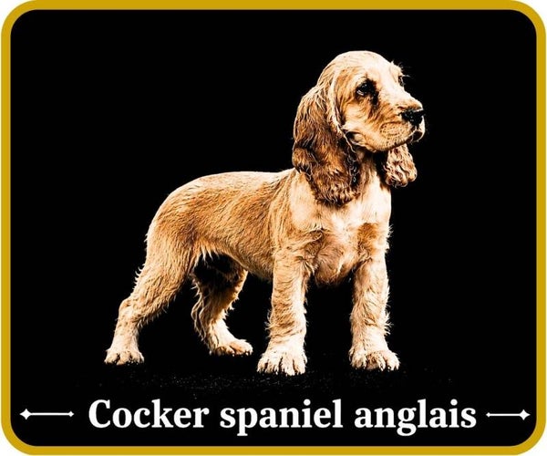 chiens
