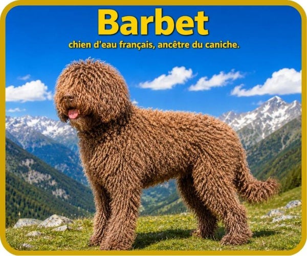 chiens