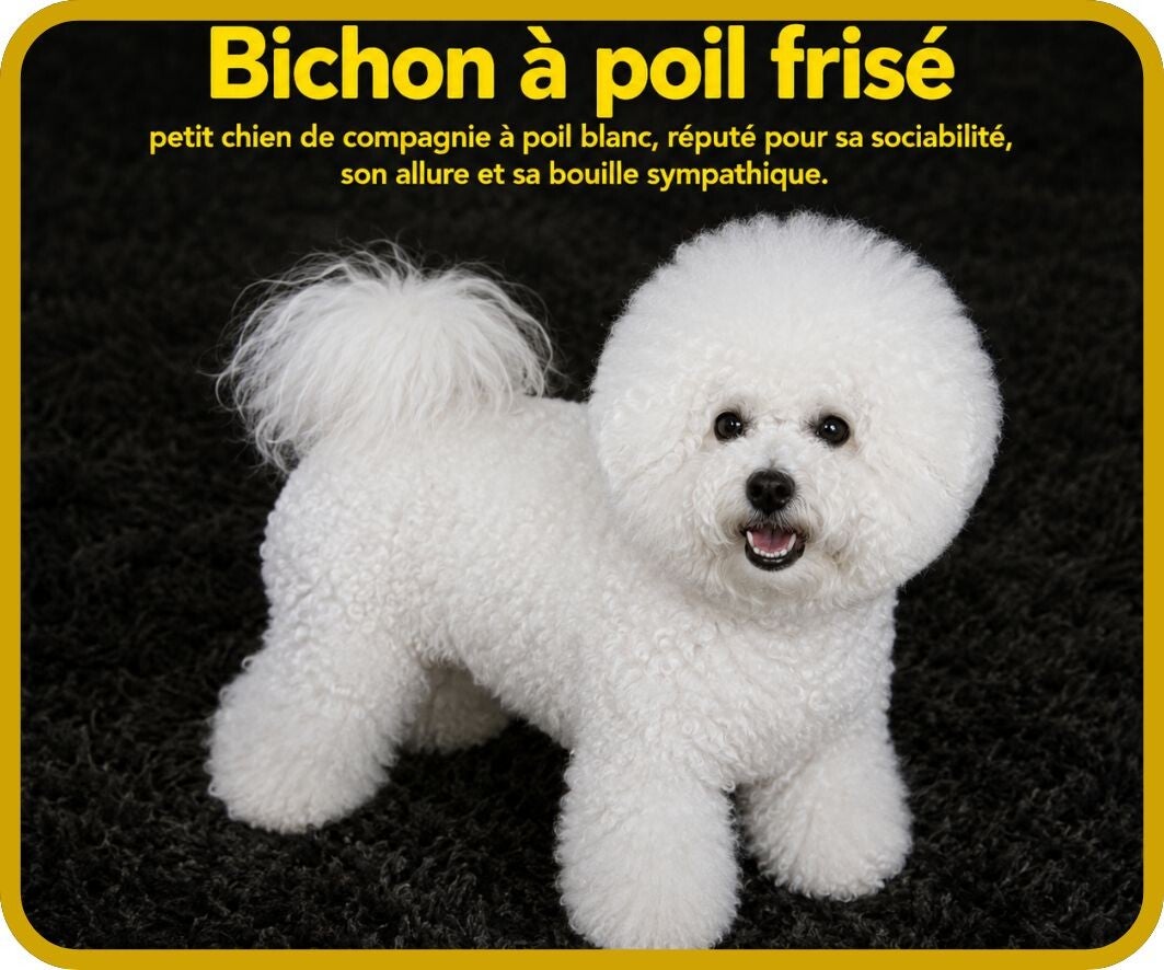 chiens