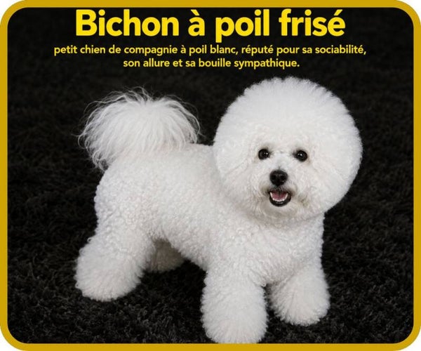 chiens